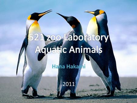 Hana Hakami 2011. The Marks This lab has 25 marks which are distributed as the following: – The Specimen = 5 Marks – The activities & presentation = 5.