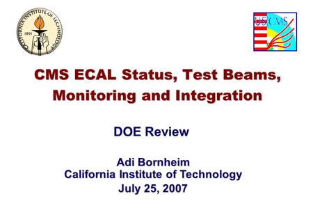 DOE Review Adi Bornheim California Institute of Technology July 25, 2007 CMS ECAL Status, Test Beams, Monitoring and Integration.