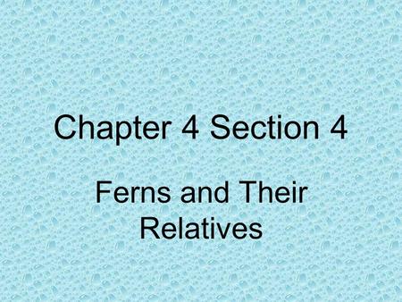 Chapter 4 Section 4 Ferns and Their Relatives. Characteristics of Seedless Vascular Plants Ferns and their relatives share two characteristics. They have.