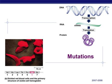 Mutations 2007-2008.