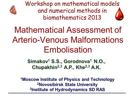 1 Mathematical Assessment of Arterio-Venous Malformations Embolisation 1 Moscow Institute of Physics and Technology 2 Novosibirsk State University 3 Institute.