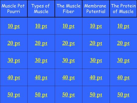 20 pt 30 pt 40 pt 50 pt 10 pt 20 pt 30 pt 40 pt 50 pt 10 pt 20 pt 30 pt 40 pt 50 pt 10 pt 20 pt 30 pt 40 pt 50 pt 10 pt 20 pt 30 pt 40 pt 50 pt 10 pt Muscle.