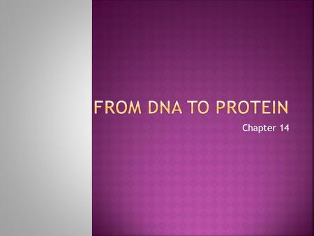 Chapter 14.  Ricin (found in castor-oil plant used in plastics, paints, cosmetics) is toxic because it inactivates ribosomes, the organelles which assemble.