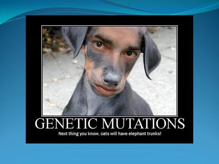 DNA Mutations What is a mutation? 1) Change in the DNA of a gene. 2) When a cell puts its genetic code into action it is making precisely the proteins.