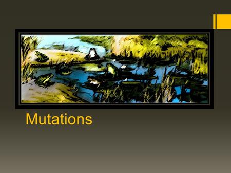 Mutations. A Mutation is a change in an organism’s DNA  It can occur naturally whenever a base is incorrectly copied, especially during DNA Replication.