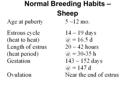 Normal Breeding Habits – Sheep. Normal Breeding Habits – Does StatusMeanRange Estrous (d)2017-24 Estrus (hr)3016-30 Ovulation (hr)3330-36 Gestation (d)150144-155.