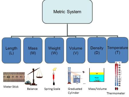 Metric System Length (L) Mass (M) Weight (W) Volume (V) Density (D) Temperature (T) Sand Meter Stick BalanceSpring ScaleGraduated Cylinder Mass/Volume.