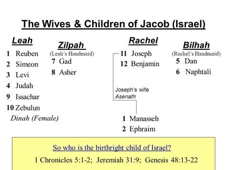 The Wives & Children of Jacob (Israel) Leah Rachel Bilhah (Rachel’s Handmaid) Zilpah (Leah’s Handmaid) Joseph’s wife Asenath Reuben1 2Simeon 3Levi 4Judah.