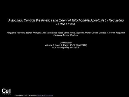 Autophagy Controls the Kinetics and Extent of Mitochondrial Apoptosis by Regulating PUMA Levels Jacqueline Thorburn, Zdenek Andrysik, Leah Staskiewicz,