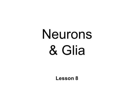 Neurons & Glia Lesson 8. Nature of the Nervous System n Golgi & Cajal shared Nobel Prize (1906) n Reticular Theory l Camillo Golgi n The Neuron Doctrine.