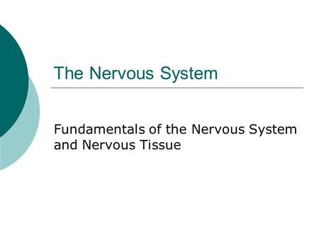 The Nervous System Fundamentals of the Nervous System and Nervous Tissue.