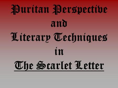 Puritan Perspective and Literary Techniques in The Scarlet Letter.