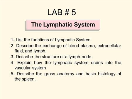 The Lymphatic System LAB # 5 1- List the functions of Lymphatic System. 2- Describe the exchange of blood plasma, extracellular fluid, and lymph. 3- Describe.