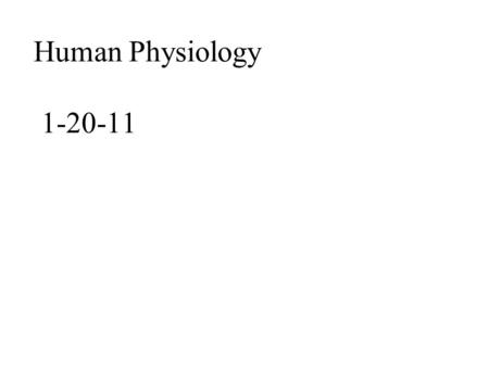 Human Physiology 1-20-11. Sweating Hypothalamus --> SNS output--> SNS releases acetylcholine (ACH) on sweat glands--> stimulates Na+ active (with ATP)