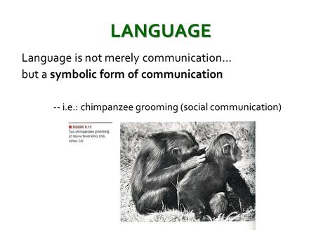 LANGUAGE Language is not merely communication…