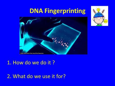 DNA Fingerprinting 1.How do we do it ? 2. What do we use it for?