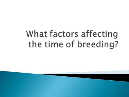  Some animals can breed all year round.  Cows are in estrus every 21 days when not already mated. Chickens can also breed year-round.  Some animals.