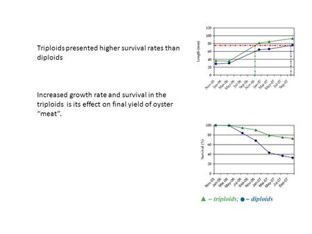 Triploids presented higher survival rates than diploids Increased growth rate and survival in the triploids is its effect on final yield of oyster “meat”.