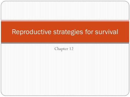 Chapter 12 Reproductive strategies for survival. Reproductive adaptations Refers to any strategy that aims to increase the chance of successful reproduction.