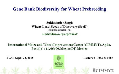 Gene Bank Biodiversity for Wheat Prebreeding