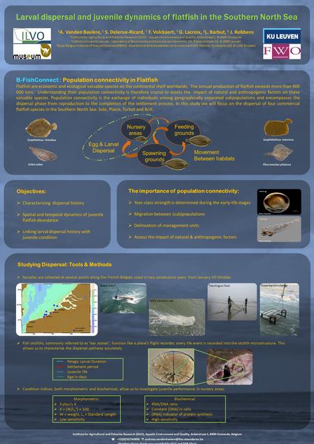 Objectives:  Characterizing dispersal history  Spatial and temporal dynamics of juvenile flatfish abundance  Linking larval dispersal history with juvenile.