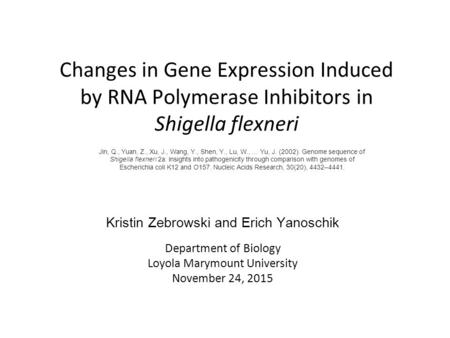 Changes in Gene Expression Induced by RNA Polymerase Inhibitors in Shigella flexneri Department of Biology Loyola Marymount University November 24, 2015.