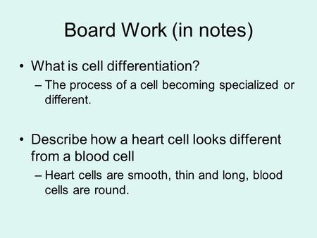 Board Work (in notes) What is cell differentiation?