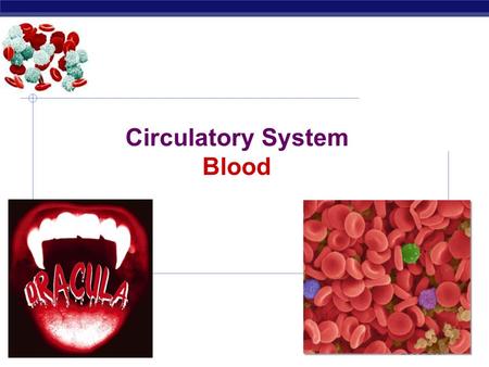 Regents Biology 2006-2007 Circulatory System Blood.