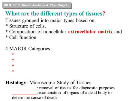 What are the different types of tissues? BIOL 2010 Human Anatomy & Physiology I Tissues grouped into major types based on: * Structure of cells, * Composition.