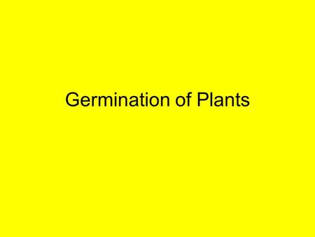 Germination of Plants.