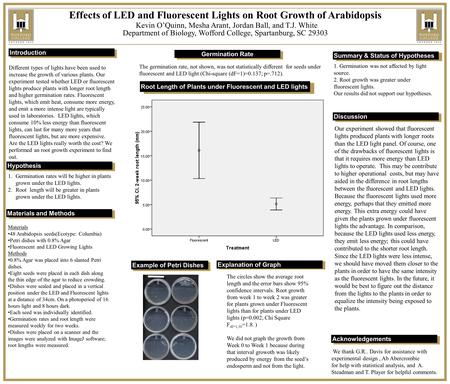 Different types of lights have been used to increase the growth of various plants. Our experiment tested whether LED or fluorescent lights produce plants.