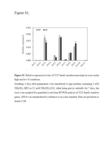 Figure S1. Figure S1. Relative expression levels of YUC family member transcripts in roots under high and low N conditions. Seedlings 4 days after germination.