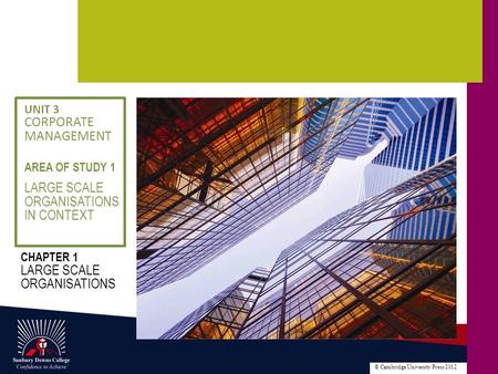 © Cambridge University Press 2012 LARGE SCALE ORGANISATIONS IN CONTEXT AREA OF STUDY 1 UNIT 3 CORPORATE MANAGEMENT CHAPTER 1 LARGE SCALE ORGANISATIONS.