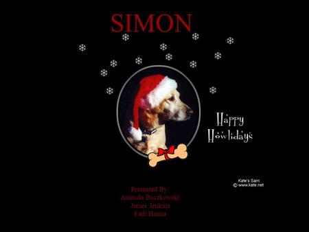 SIMON Presented By: Amanda Buczkowski James Jenkins Fadi Hanna.