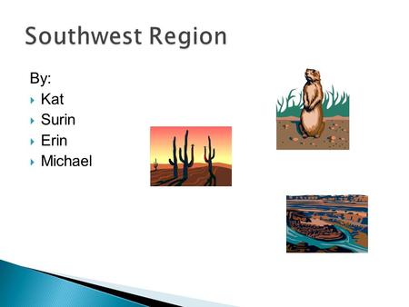 By:  Kat  Surin  Erin  Michael. The States in the Southwest are  Texas  Oklahoma  Arizona  New Mexico.