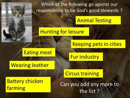 Animal Testing Eating meat Wearing leather Hunting for leisure Keeping pets in cities Battery chicken farming Circus training Fur industry Which of the.