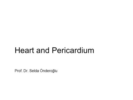 Heart and Pericardium Prof. Dr. Selda Önderoğlu Prof. Dr. H. Selçuk Sürücü.