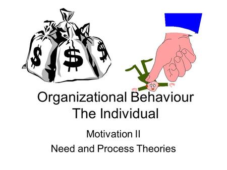 Organizational Behaviour The Individual