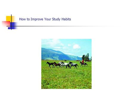 How to Improve Your Study Habits. Want to know how to improve your grades without having to spend more time studying? Sounds too good to be true? Well,