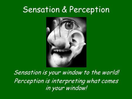 Sensation & Perception Sensation is your window to the world! Perception is interpreting what comes in your window!