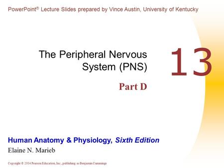 Copyright © 2004 Pearson Education, Inc., publishing as Benjamin Cummings Human Anatomy & Physiology, Sixth Edition Elaine N. Marieb PowerPoint ® Lecture.