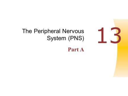 Copyright © 2004 Pearson Education, Inc., publishing as Benjamin Cummings Human Anatomy & Physiology, Sixth Edition Elaine N. Marieb PowerPoint ® Lecture.