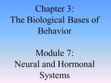 Neurons: The building block of the nervous system!