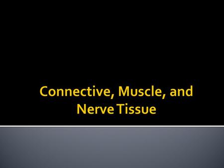 Epithelial Tissue (yesterday’s material) Basement Membrane Connective Tissue.