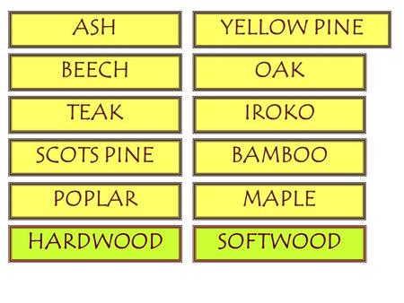 ASH BEECH TEAK SCOTS PINE YELLOW PINE OAK IROKO BAMBOO POPLAR HARDWOOD MAPLE SOFTWOOD.