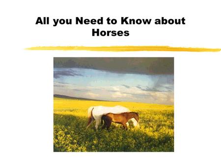 All you Need to Know about Horses. Overview zBreeds zColors zMarkings zParts of the Horse zHorse Terms zGeneral Care zHealth Concerns.