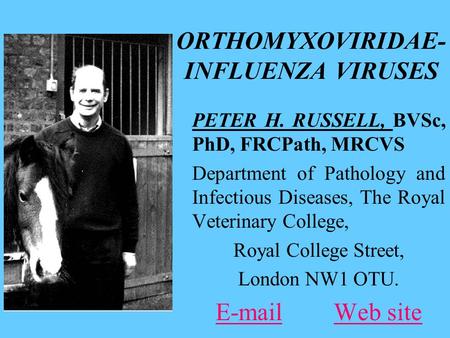 ORTHOMYXOVIRIDAE- INFLUENZA VIRUSES PETER H. RUSSELL, BVSc, PhD, FRCPath, MRCVS Department of Pathology and Infectious Diseases, The Royal Veterinary College,