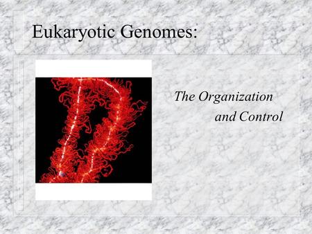 Eukaryotic Genomes: The Organization and Control.