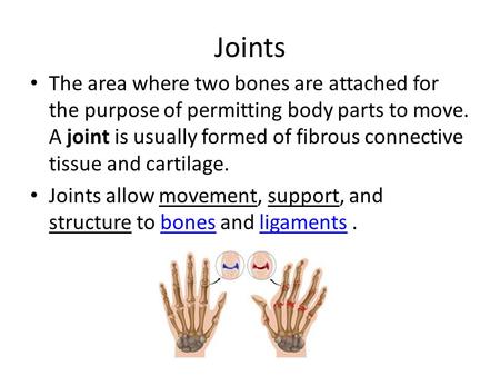 Joints The area where two bones are attached for the purpose of permitting body parts to move. A joint is usually formed of fibrous connective tissue and.