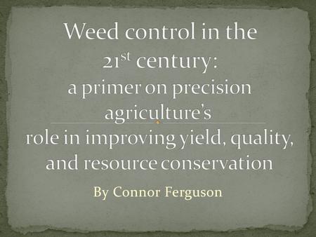 By Connor Ferguson. Decrease resources available -- Water, Nutrients, Sunlight Decreases yield / quality Harvest Issues Aesthetics.